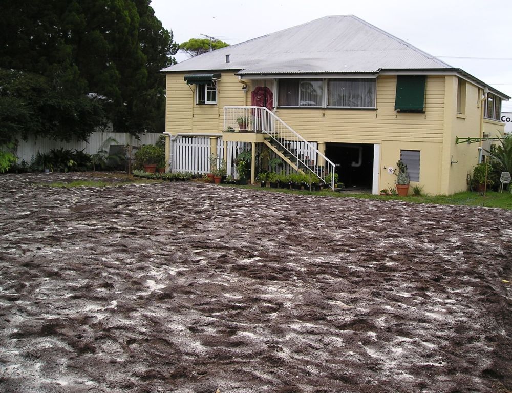 sandwich mulch ready for final green manure