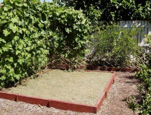 Again the drought bites. Jan ’06