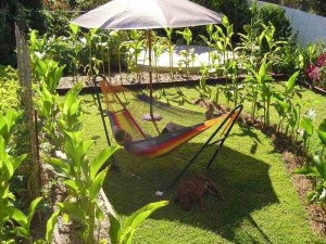 Arrowroot screening Dec ’05