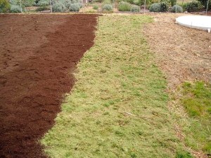Then woodland mulch, grass clippings and mushroom compost - all this layering took about five days...