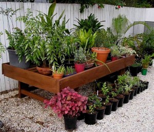 Nursery area up and running Dec ‘04