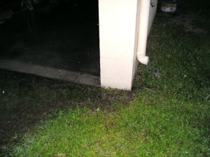 Dysfunctional drain at the side. Soil had been mounded to keep water away from the house. Unfortunately it directed the gutter outfall back under the house.