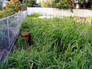 And, incidentally...