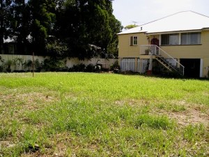 millet to stop erosion