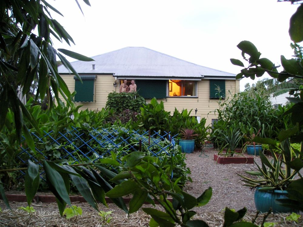 OLYMPUS DIGITAL CAMERA A view of the house from under the bamboo. The lush foliage is masking the reality of a poor wet season