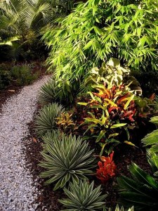 P3270012 Gravel and mulch make a nice blurred boundary and help keep the rainfall in the garden