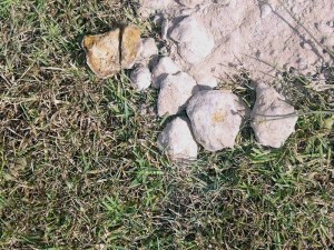 Podsol: hard layer formed by deposition of leached minerals