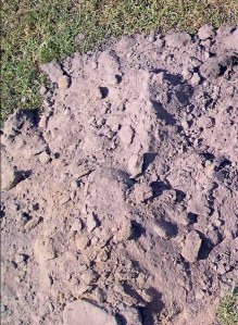 subsoil 400 - 600mm deep - less humus