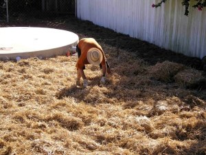 ...which allows air and rain to percolate through and...