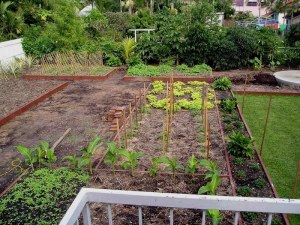 Vegetable garden almost complete May ‘05