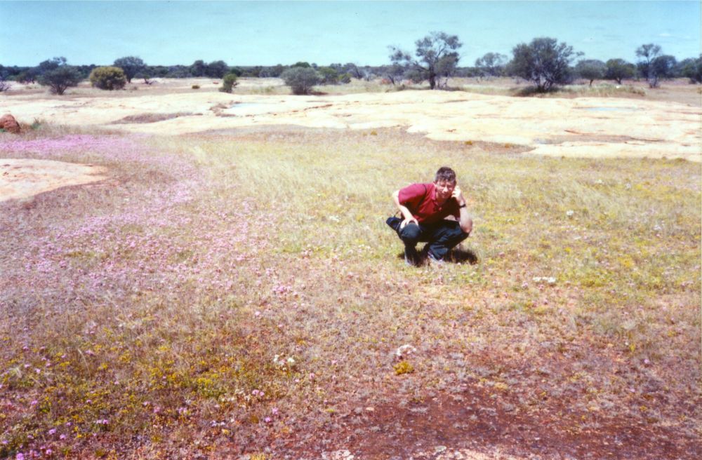 Botanising on my botanical scholarship to Western Australia in 1982. Amongst a field of Levenhookia, a uniquely Australian plant