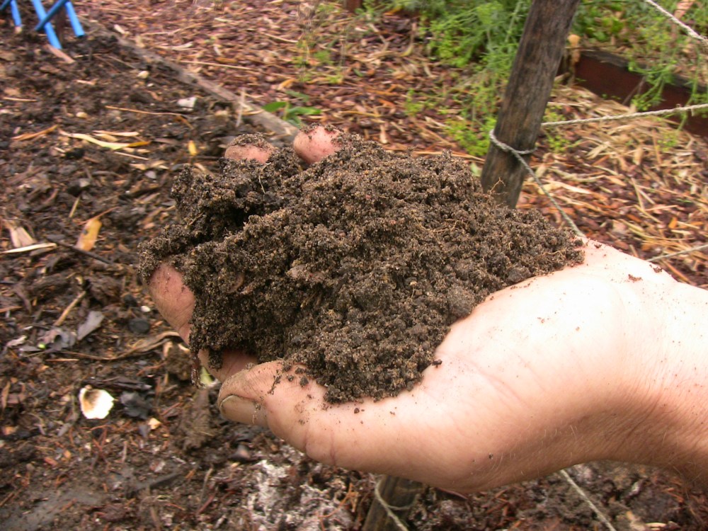 Dry soil after the storm