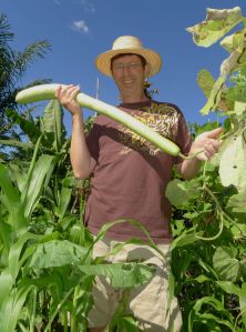 New Guinea bean (a gourd, Lagenaria siceraria), was an item of curiosity