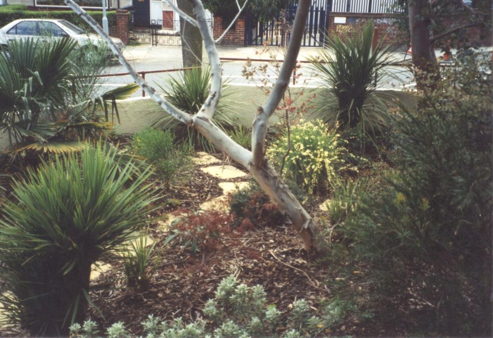 Australian-effect front garden, 1990