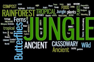 Paronella WORD CLOUD