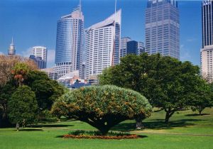 Botanic gardens during Sydney Olympics