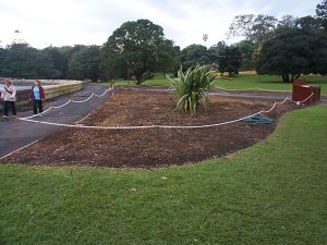 bed removal prior to the 2000 Olympics