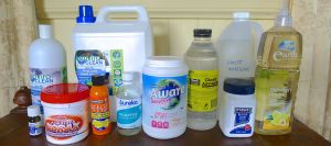 Clean and healthy water was this year's theme