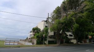 storm drain meets fig avenue