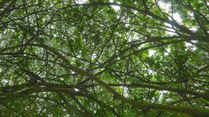 air conditioner or massive mosaic?