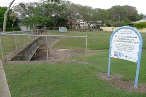 Urban forests reduce stormwater flow, improve water quality