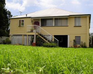 Final green manure, Feb 2004
