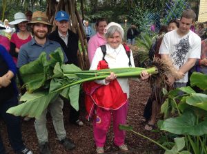 Friends of the cocoyam
