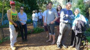 friends of the winged yam