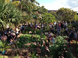 Bellis: the most visited Open Garden in Qld