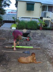 Setting out a Durban grass lawn for George, Jan 2005