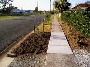 nature strip, work in progress, 2004