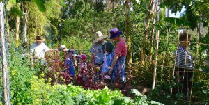 families are gardening together once more