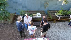 my nursery area: afterwards