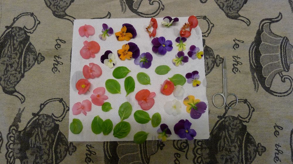 Dry on paper towelling