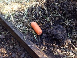 open day lost property