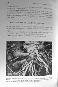3) Under-exploited tropical Cocoyam, Xanthosoma saggitifolia