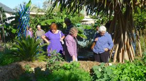 "What on Earth is that?"