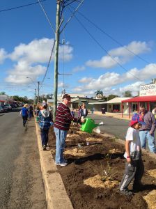 Biggenden Community Rose Garden, July 2013