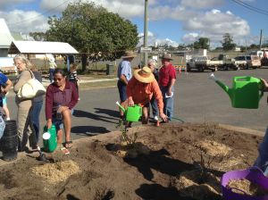 Biggenden Community Rose Garden, July 2013