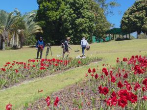 ABC TV filming a unique cultural landscape
