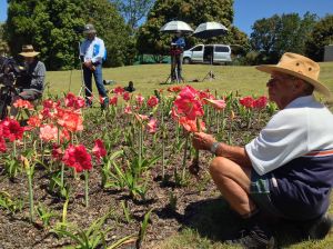 ABC TV filming a unique gardener