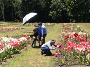 Filming a rare Australian cultural landscape