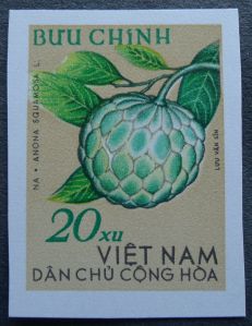 sugar apple, Anona squamosa