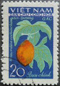 Kakrol or Gac, Momordica cochinchinensis