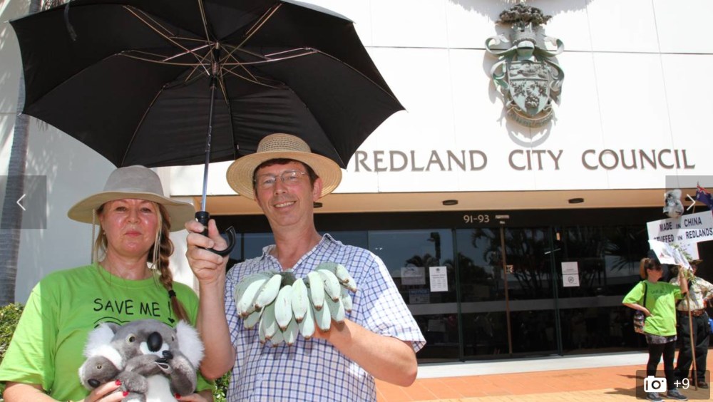 Brolly, Bananas for Mayor of Redlands