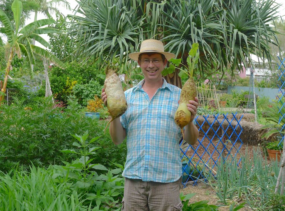 Jerry w mangelwurzel, Beta vulgaris subsp. maritima LHS 2.85kg, RHS 1.7kg