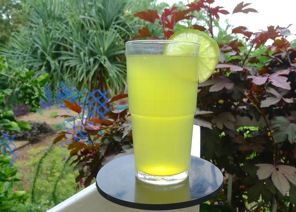 Hakim's Turmeric 'health' drink, Curcuma longa - 4