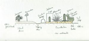 Growing rare and collectible plants in cages