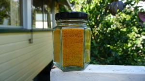 variably coloured Turmeric spice, Curcuma longa - 1