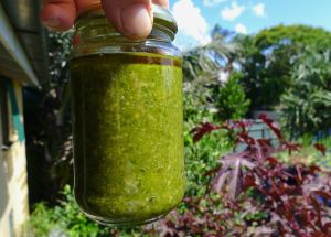 Bunya nut pesto